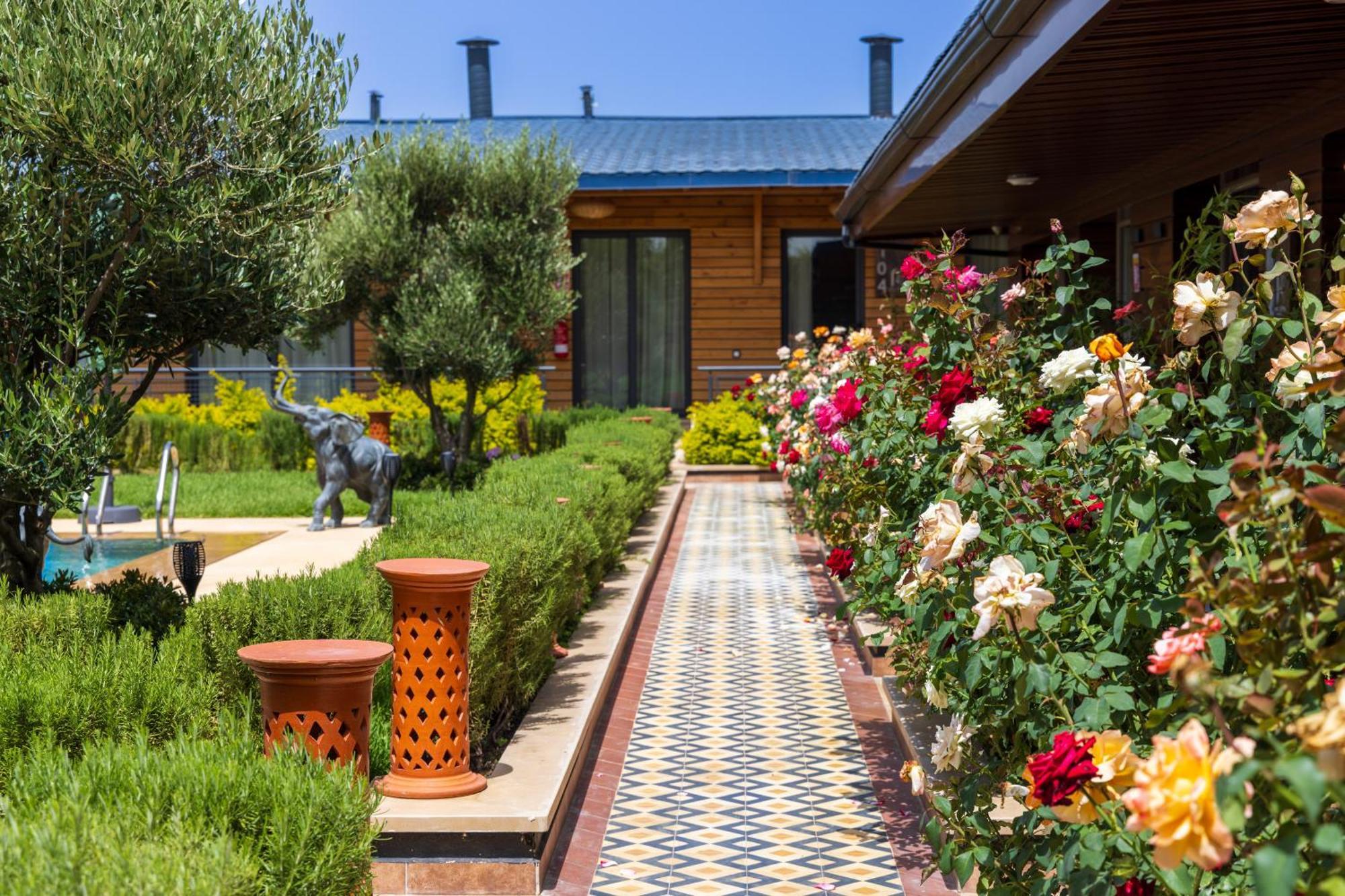 Dar Zarrouk - Eco Lodge Briech Assilah 外观 照片